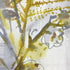 Ferns Watercolour Painting