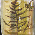 Pressed Fern Watercolour