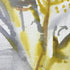 Ferns Watercolour Painting