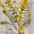 Ferns Watercolour Painting