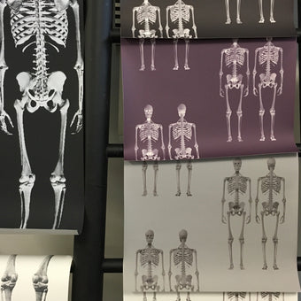 Dem Bones Wallpaper - Mini Skeleton