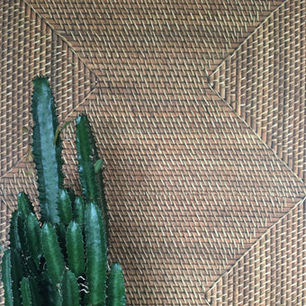 A wallpaper with a geometric diamond pattern in a tan color, displayed in a manner that mimics a woven appearance, alongside a cactus plant.