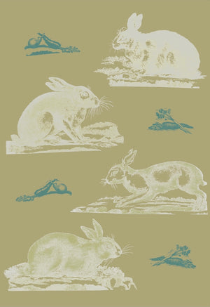 Rabbits Wallpaper