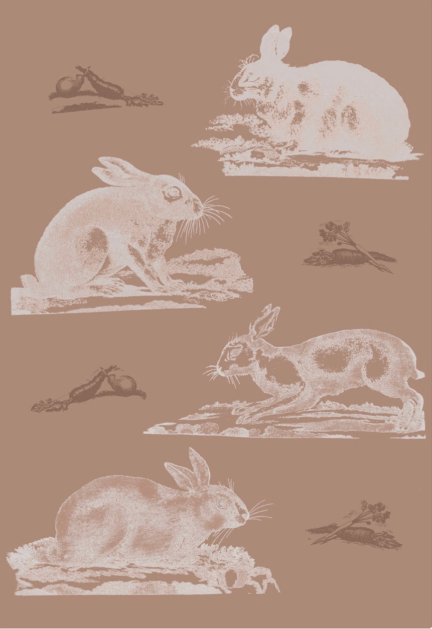 Rabbits Wallpaper