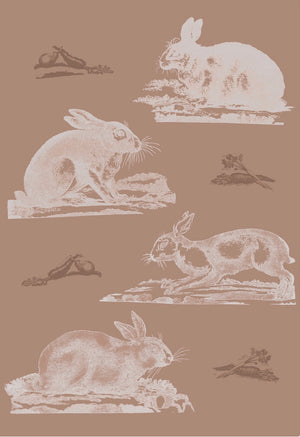 Rabbits Wallpaper