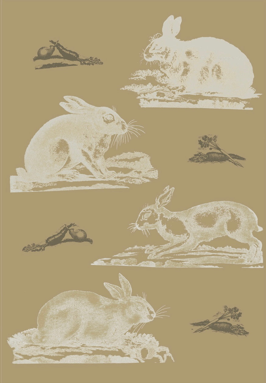 Rabbits Wallpaper