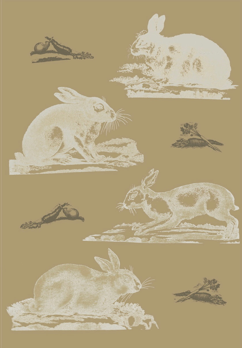 Rabbits Wallpaper
