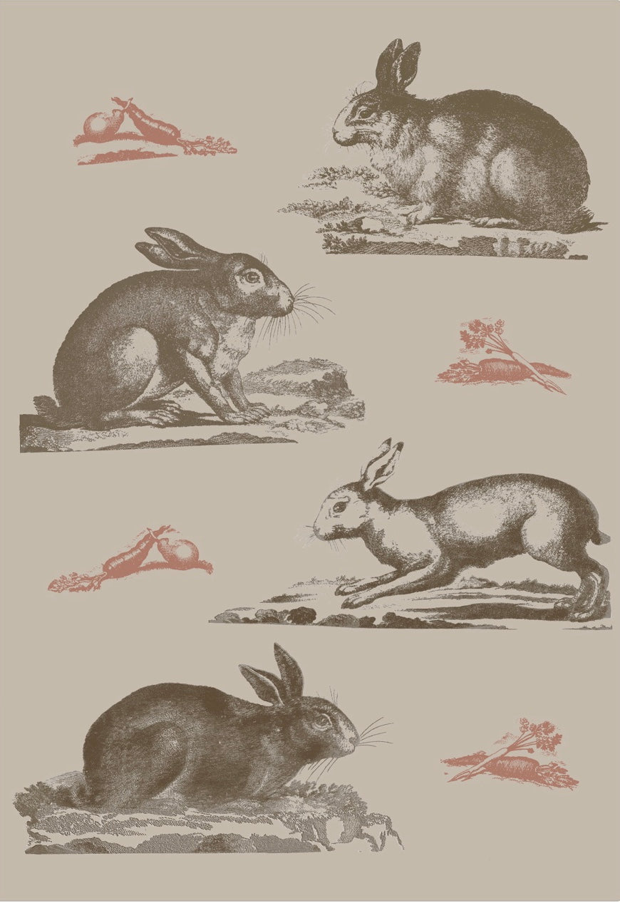 Rabbits Wallpaper