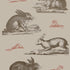 Rabbits Wallpaper