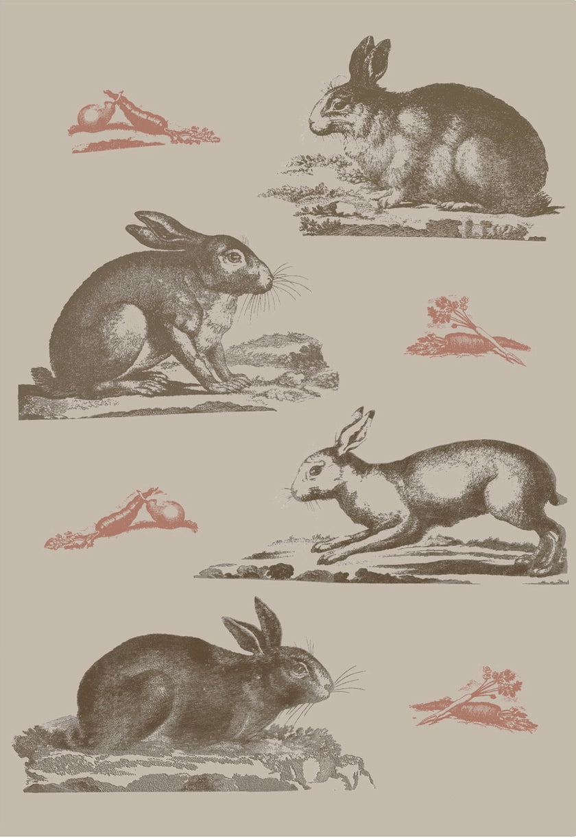 Rabbits Wallpaper