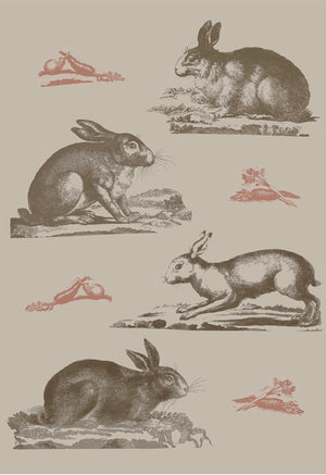 Rabbits Wallpaper