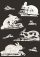 Rabbits Wallpaper