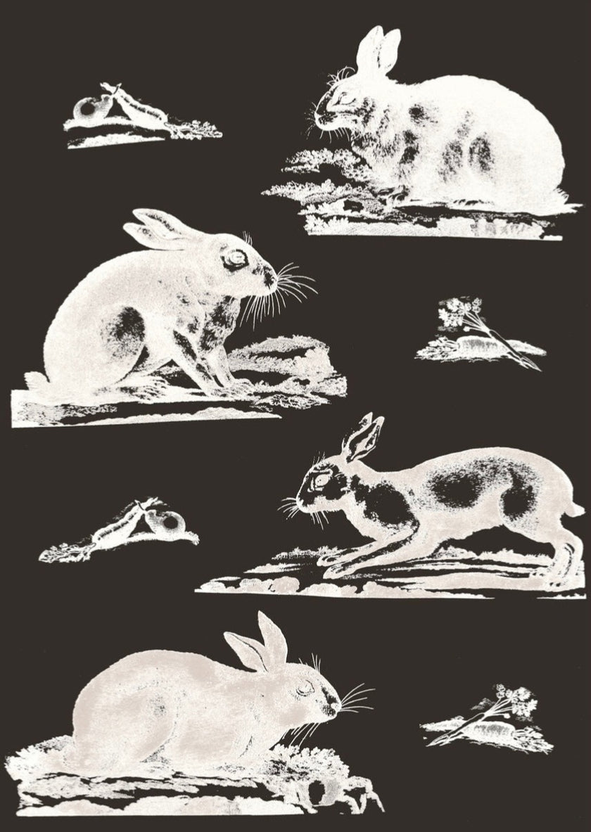 Rabbits Wallpaper
