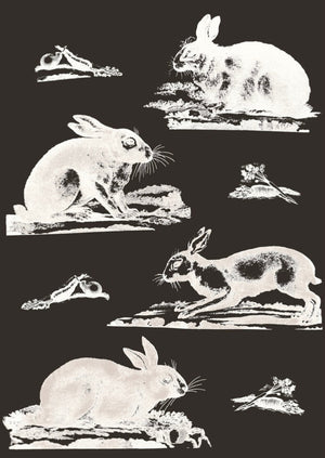 Rabbits Wallpaper