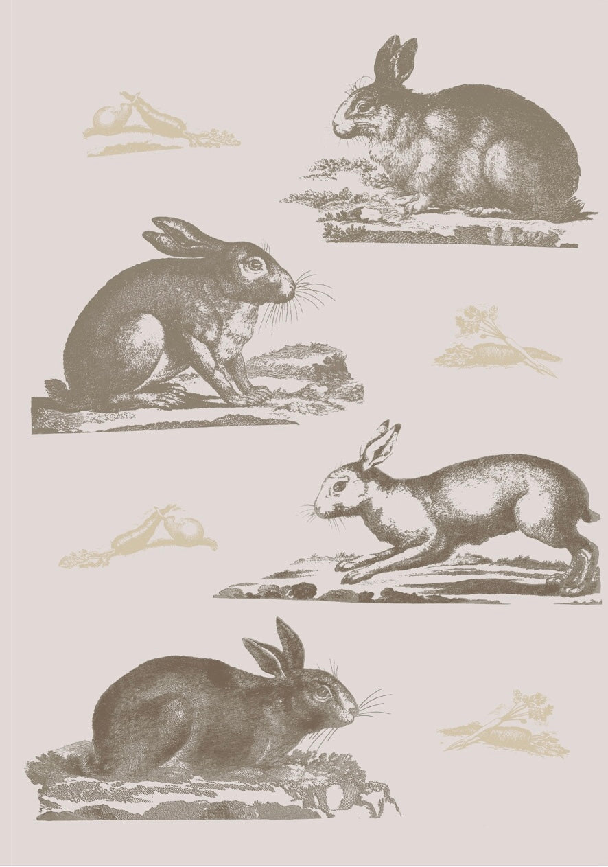 Rabbits Wallpaper
