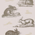 Rabbits Wallpaper