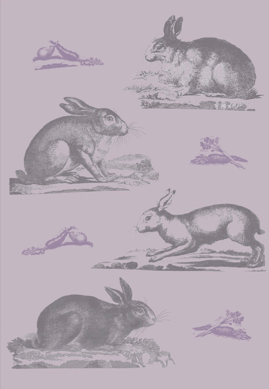 Rabbits Wallpaper