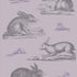 Rabbits Wallpaper
