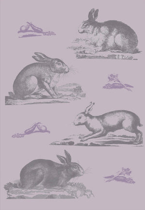 Rabbits Wallpaper