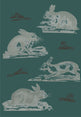 Rabbits Wallpaper