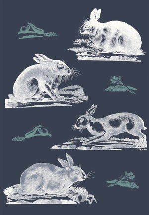 Rabbits Wallpaper