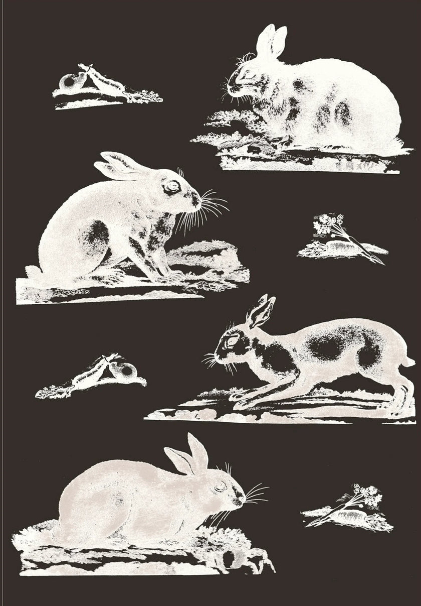 Rabbits Wallpaper