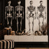 Dem Bones large Skeleton wallpaper