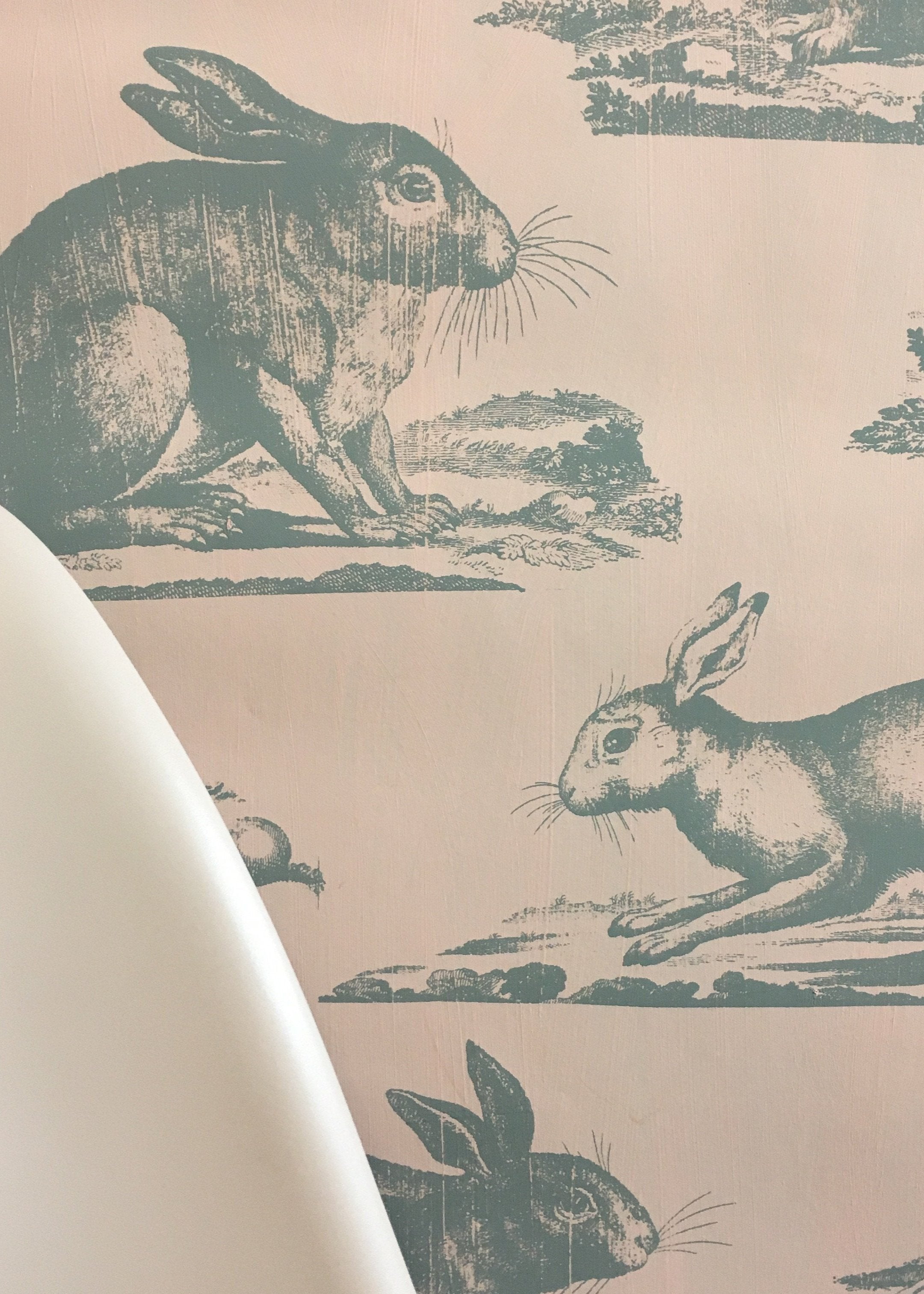 Rabbits Wallpaper