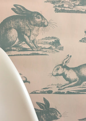 Rabbits Wallpaper