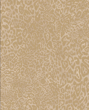 Leopard Wallpaper
