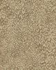Leopard Wallpaper