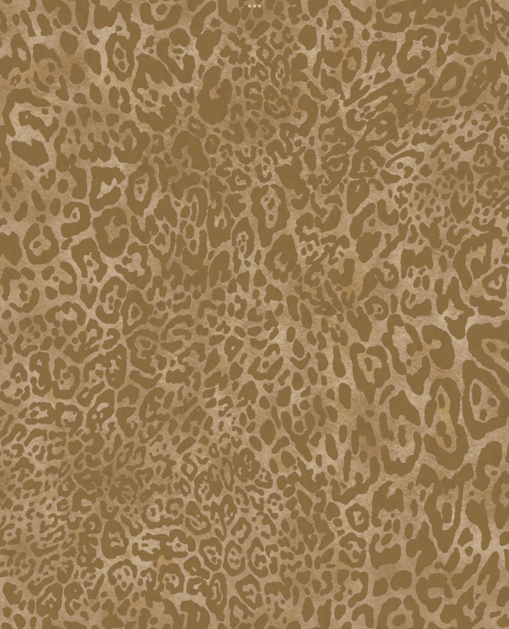Leopard Wallpaper