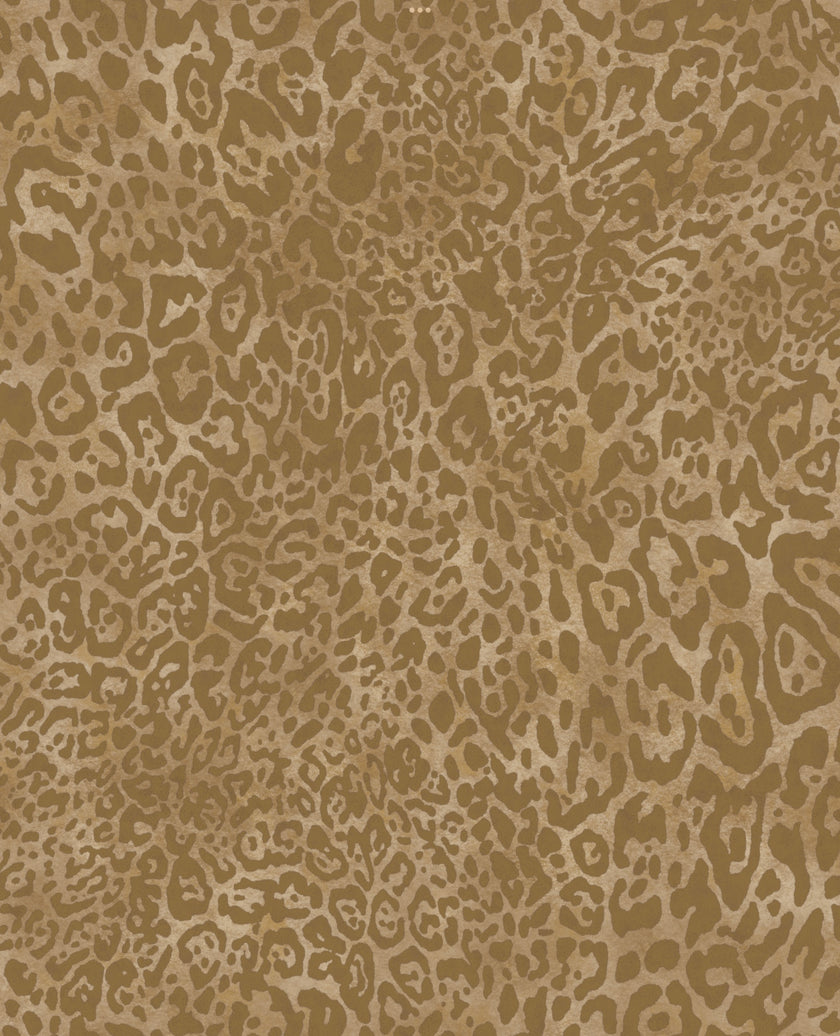 Leopard Wallpaper