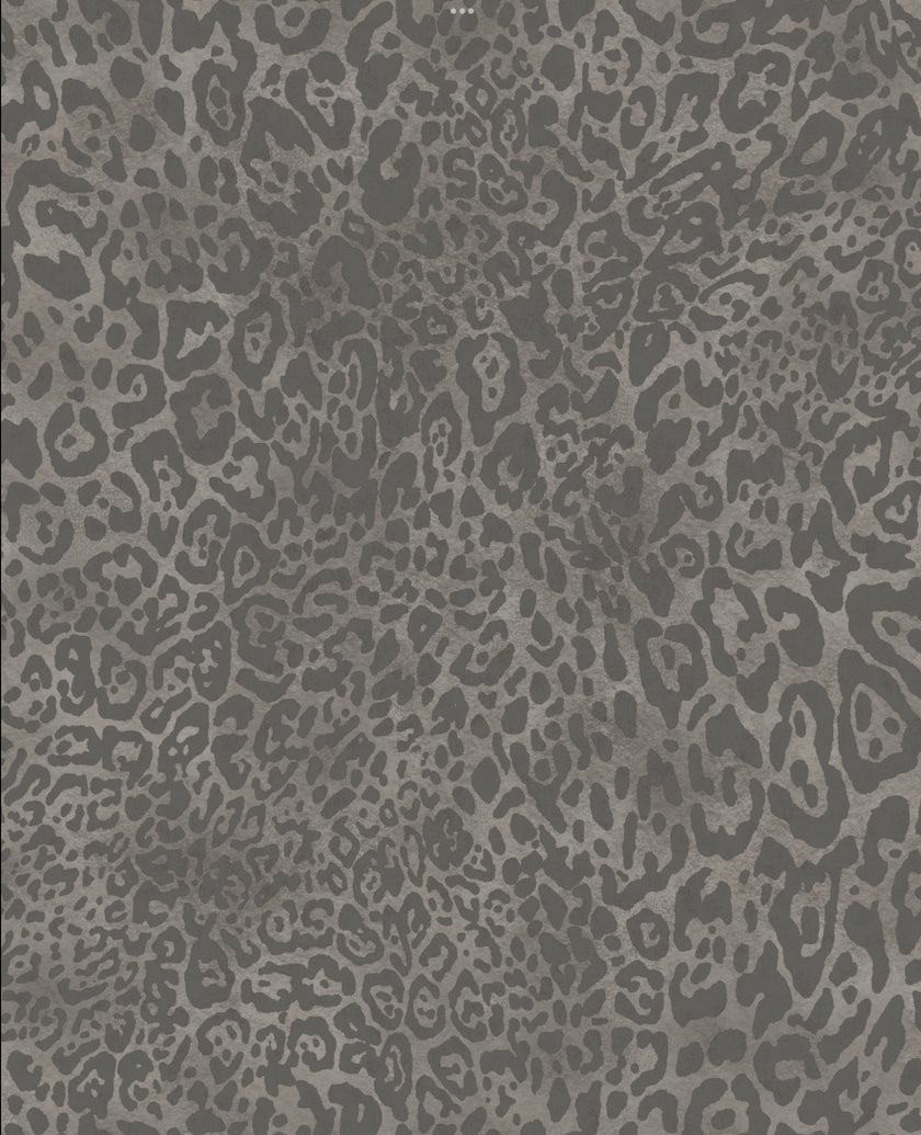 Leopard Wallpaper