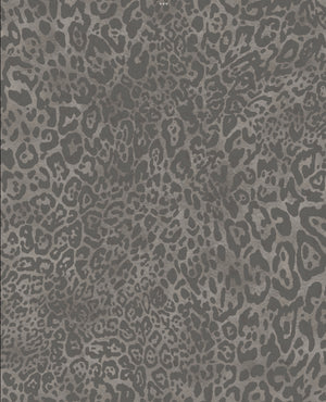 Leopard Wallpaper