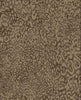 Leopard Wallpaper