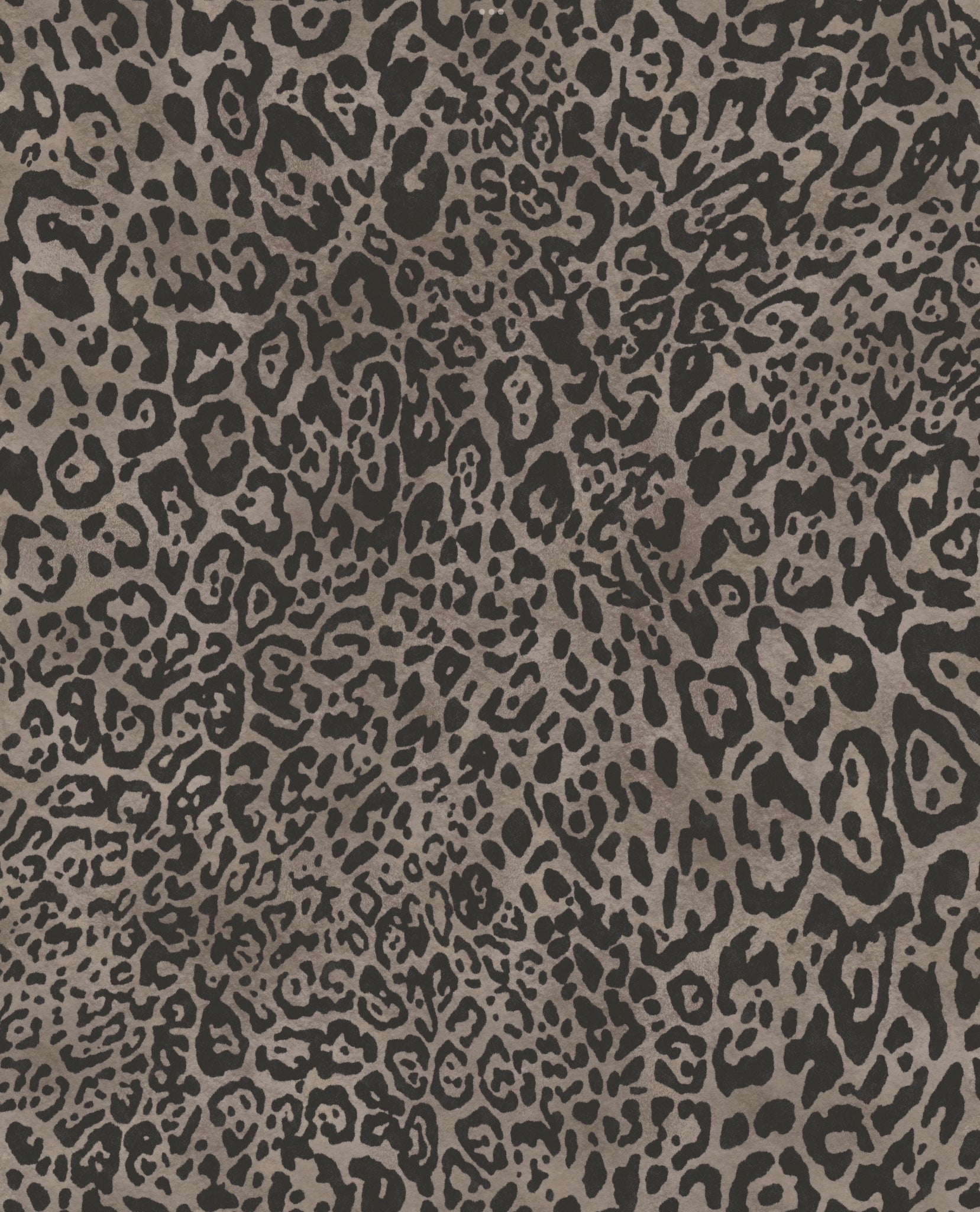 Leopard Wallpaper