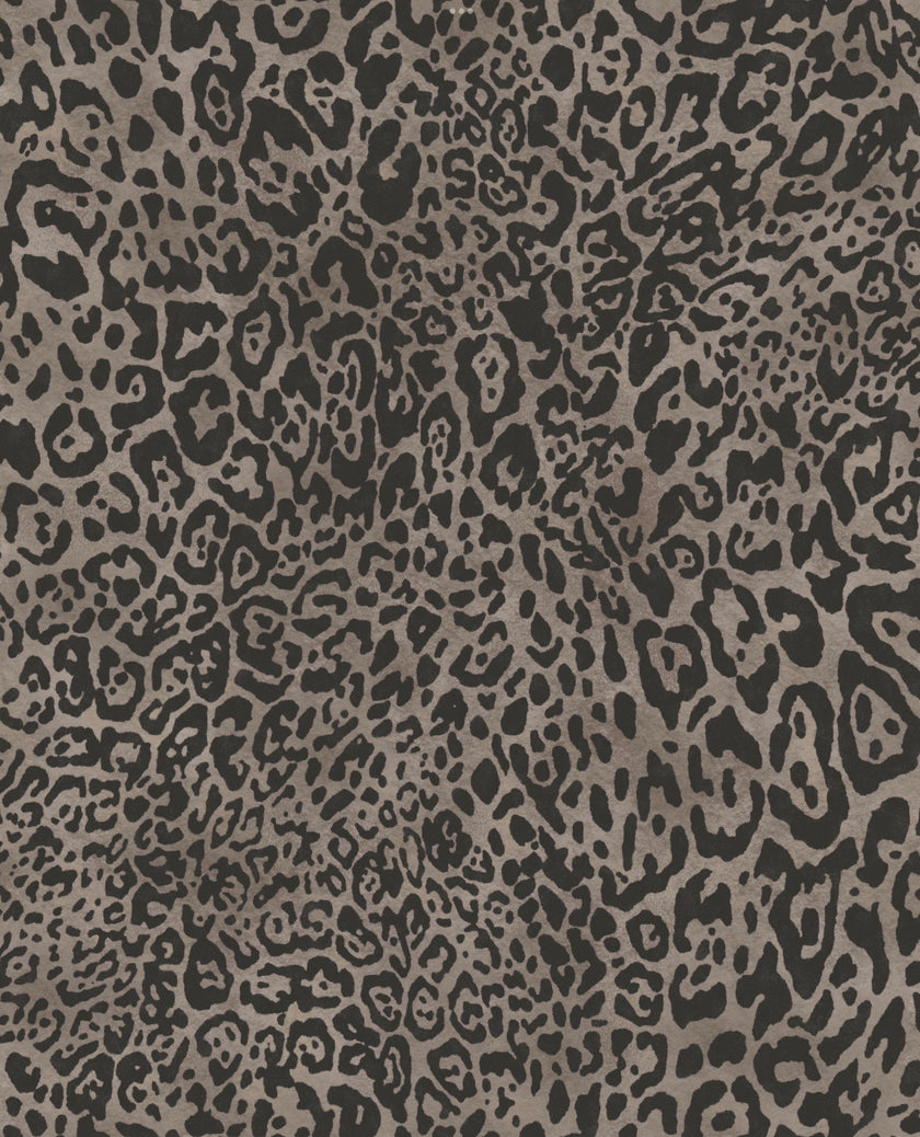 Leopard Wallpaper