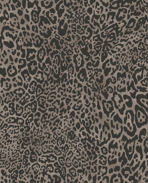 Leopard Wallpaper