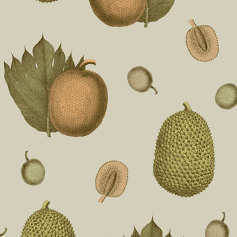 Illustration of durian fruits and leaves on a beige background