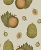Illustration of durian fruits and leaves on a beige background
