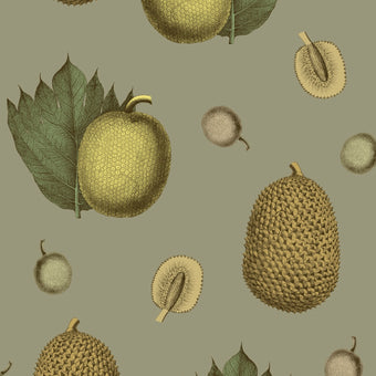 Illustration of durian fruits and leaves on a beige background