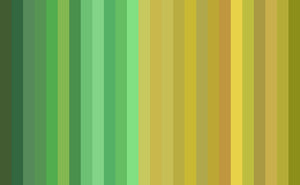 Tonal  Stripe Wallpaper - Yellow