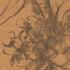 Aquatint Large Panel Floral Wallpaper