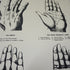 Palm Reading Wallpaper