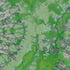 Tie Dye Circle Wallpaper - Moss