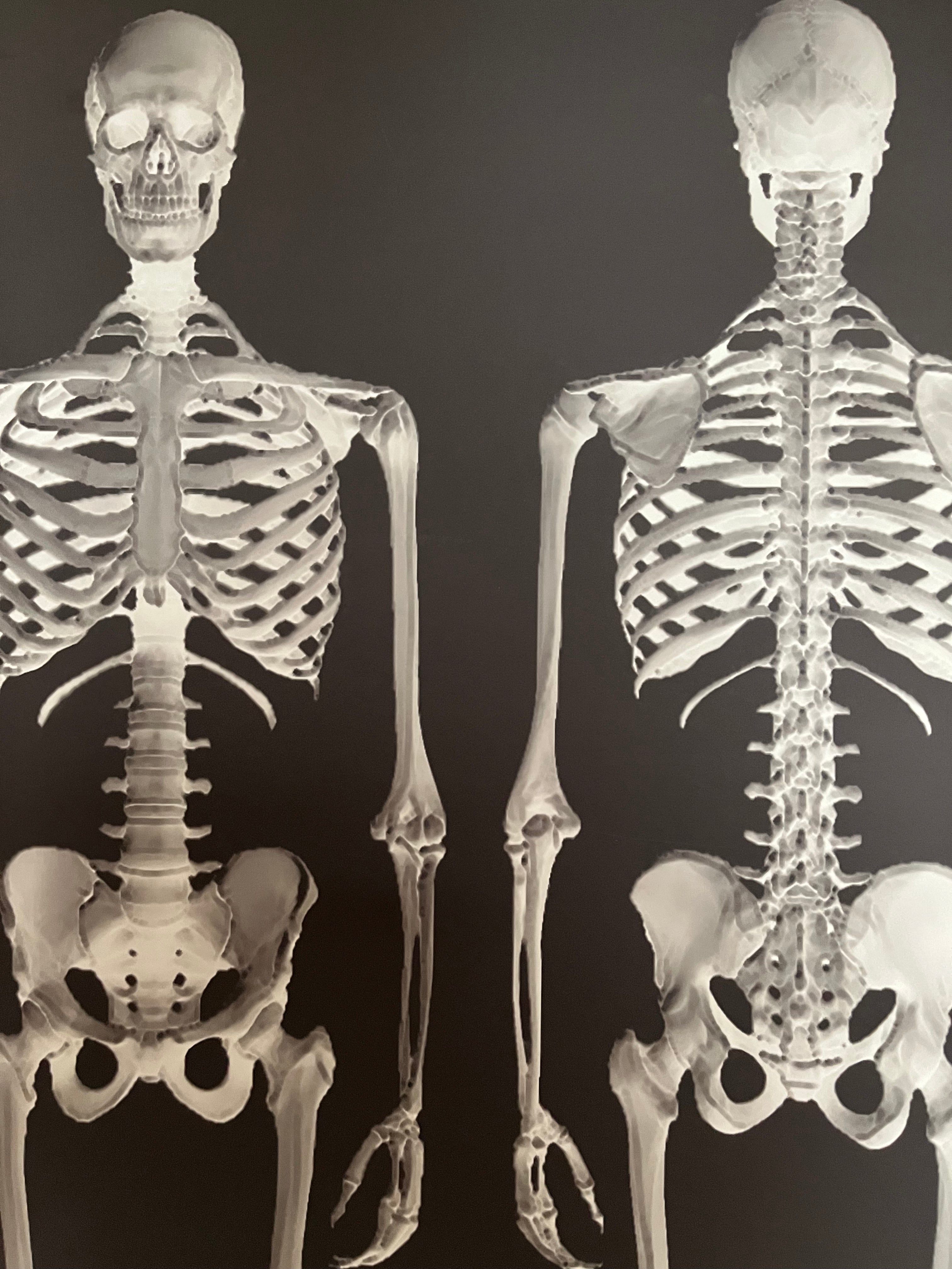 Dem Bones large Skeleton wallpaper