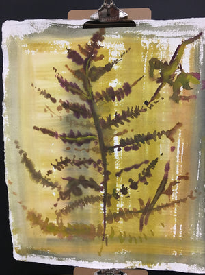Pressed Fern Watercolour