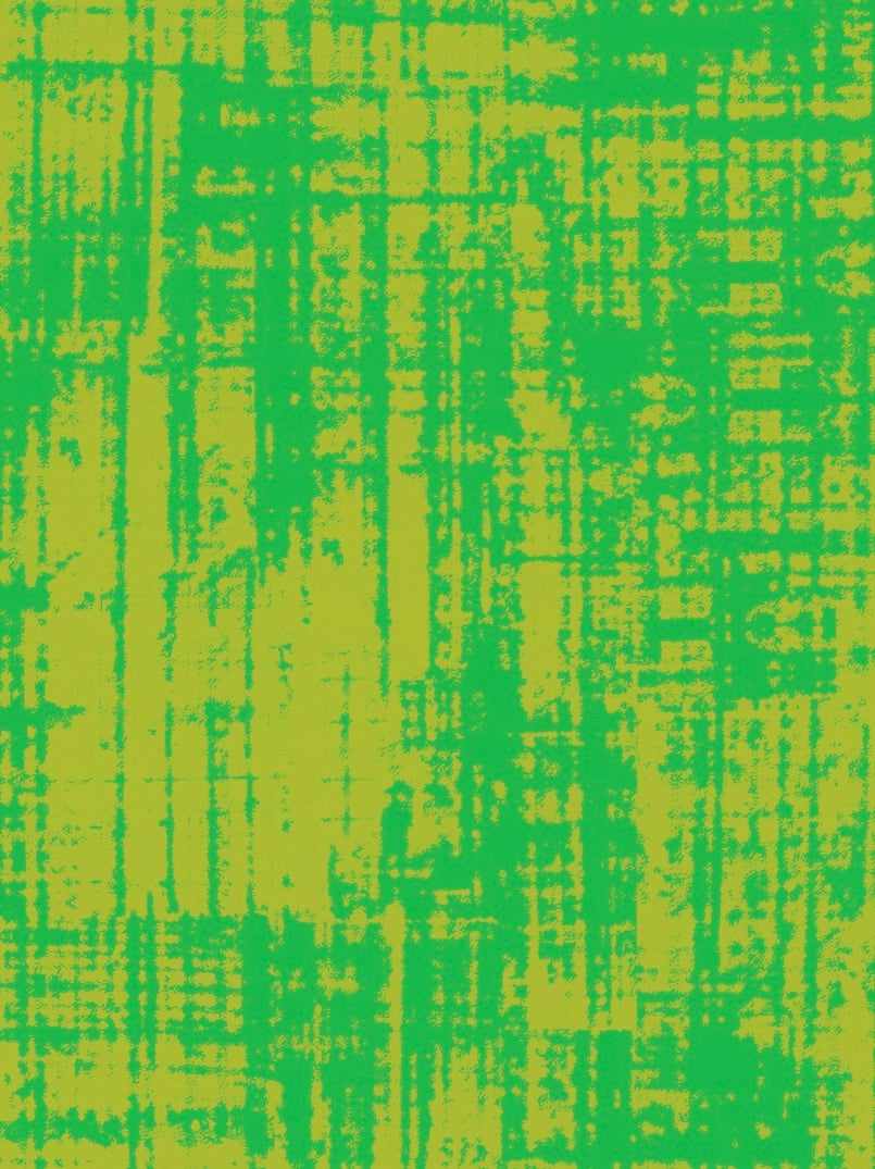Scree Wallpaper - Green Lizard