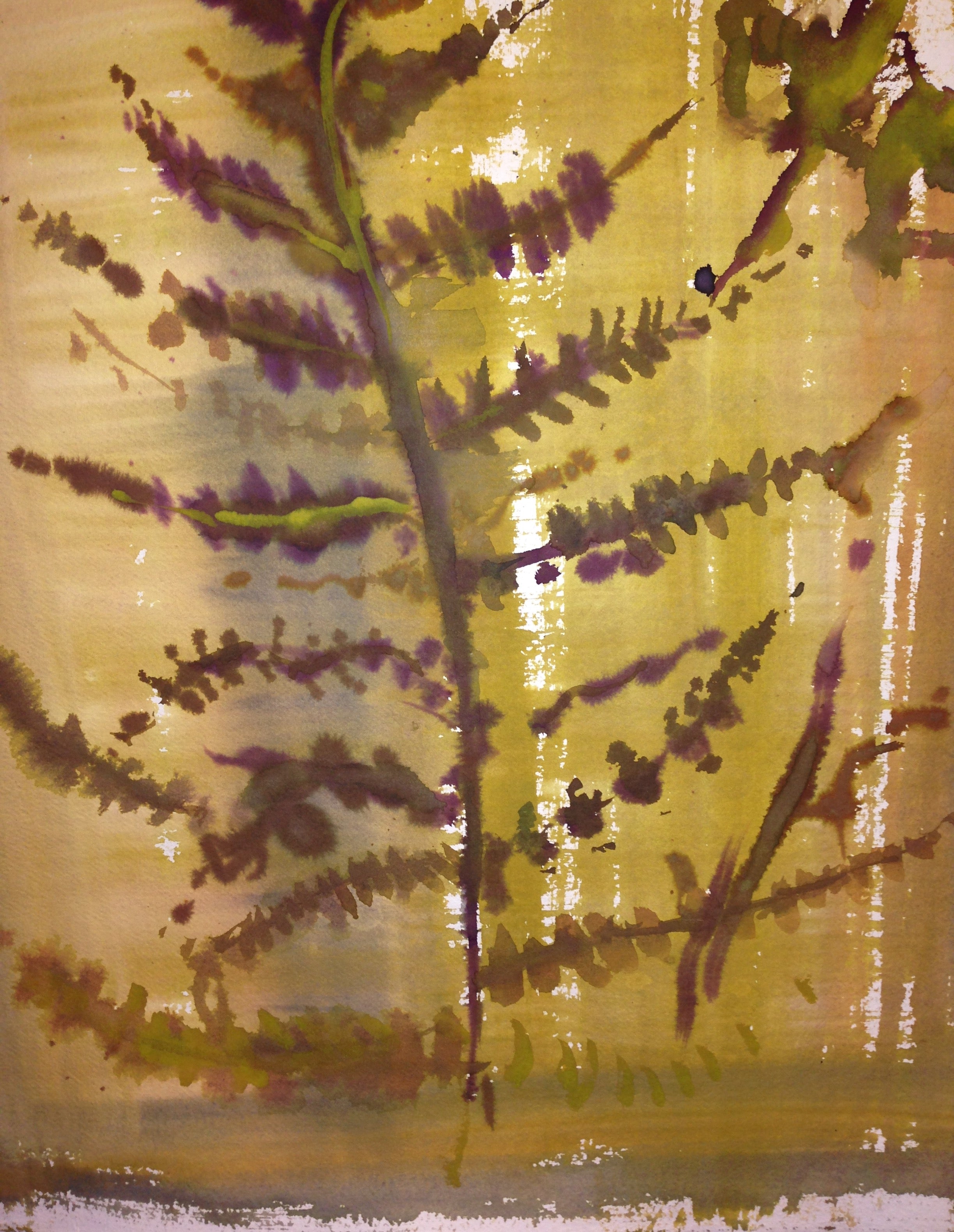 Pressed Fern Watercolour